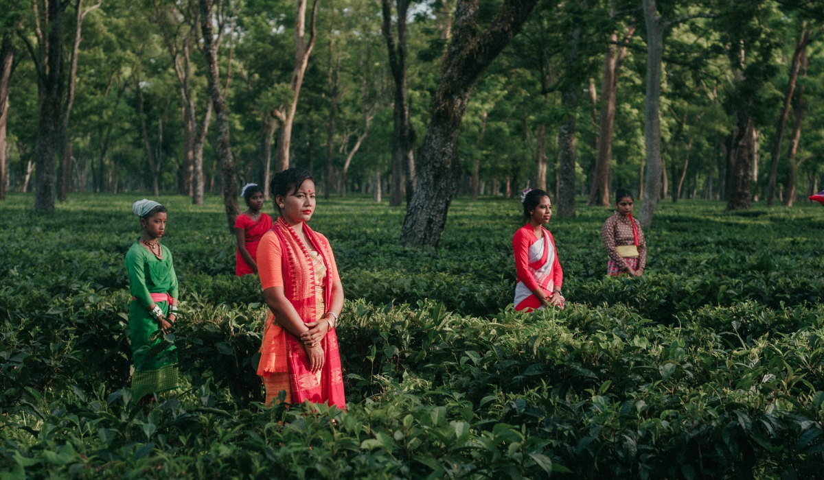 10 Things To Do In Assam