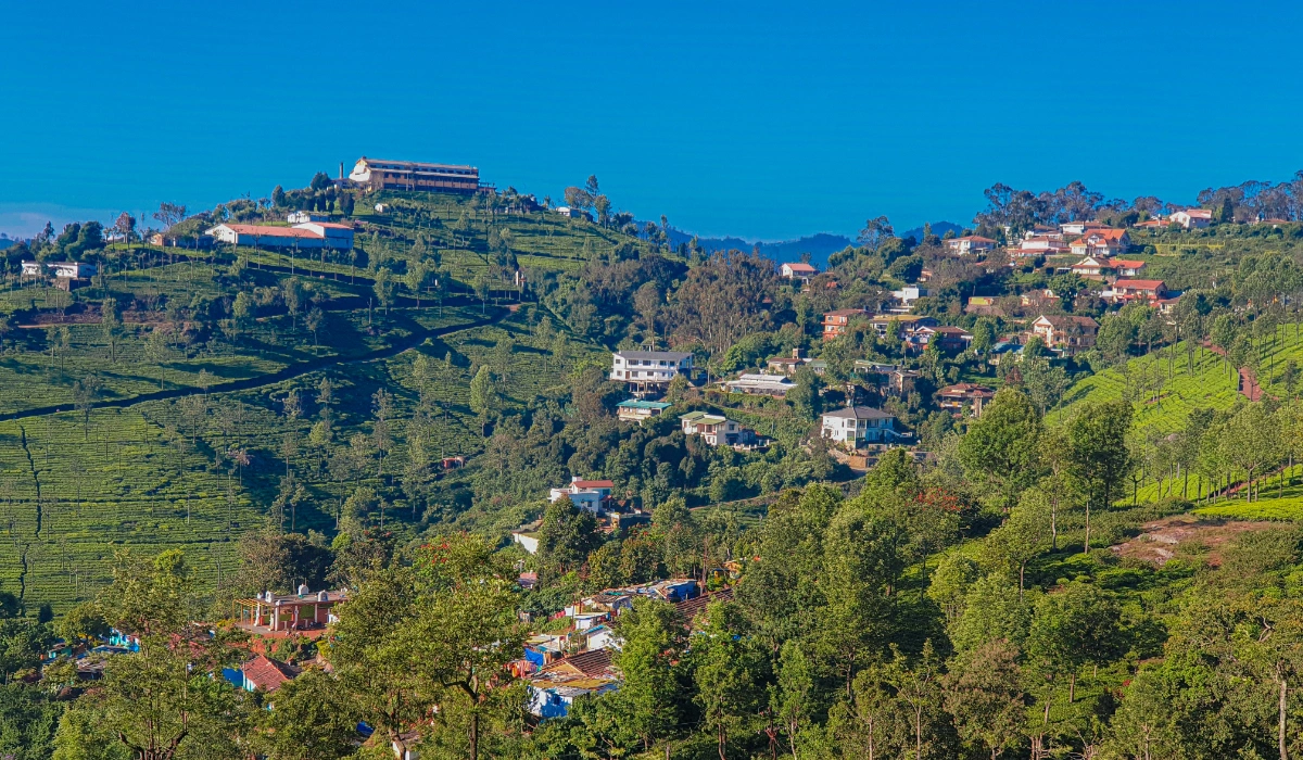 12 Things You Must Do In Ooty