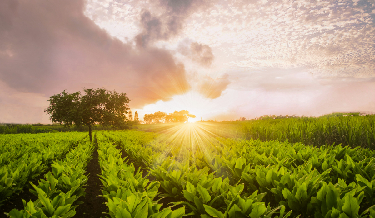 Belgaum Travel Guide