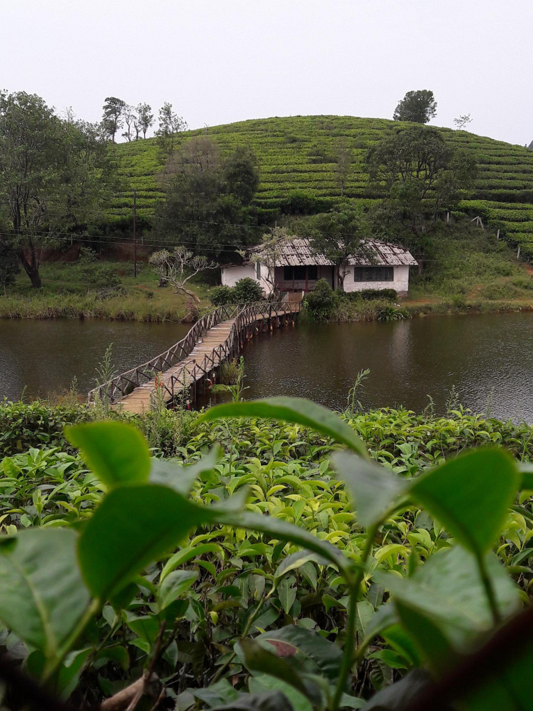 Exciting Places To Visit In Vagamon