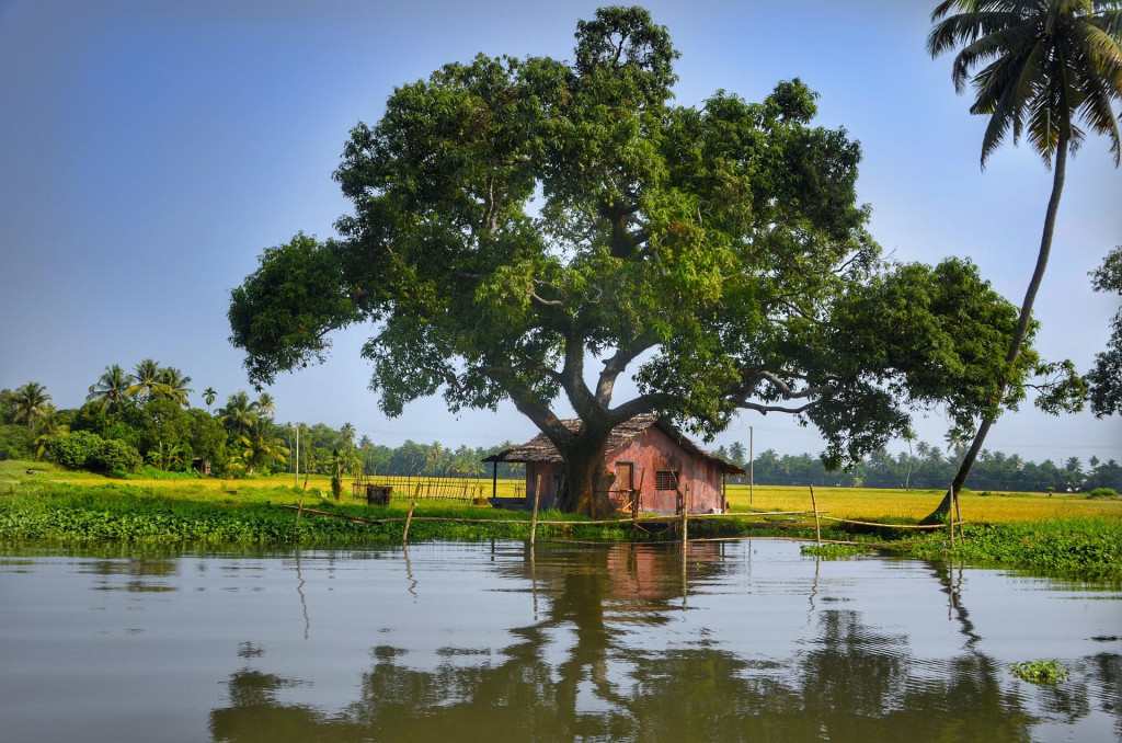 Islands in the backwaters of Kerala