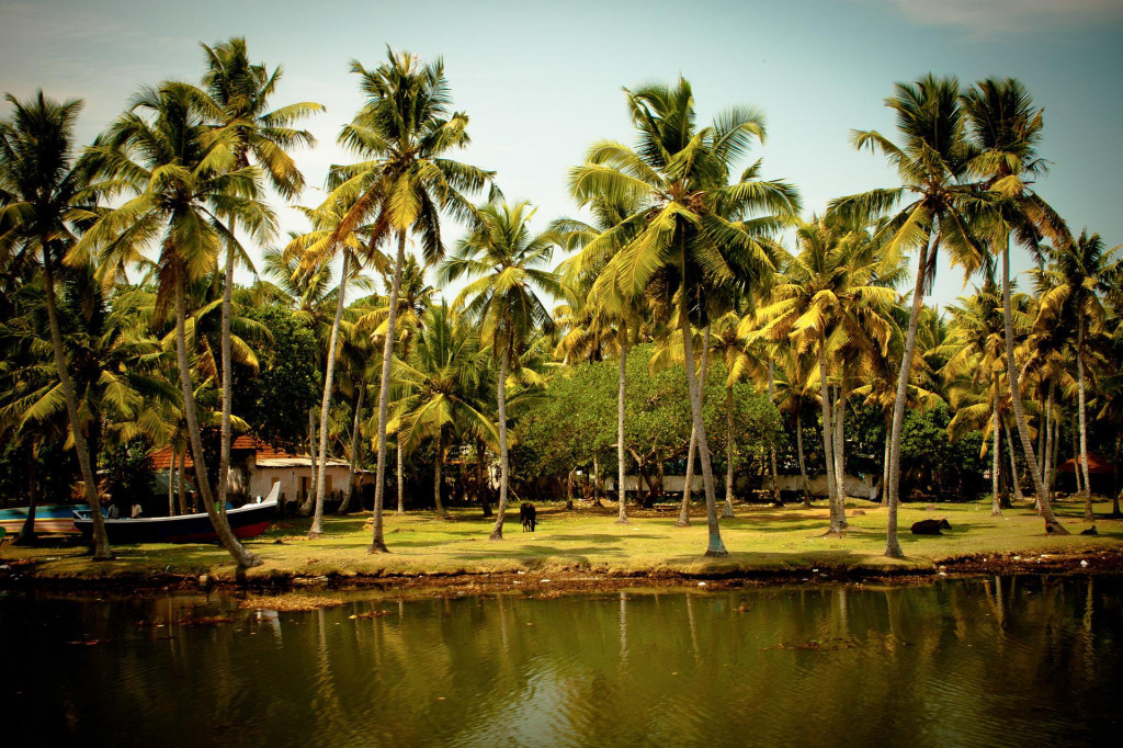 Backwater islands of Kerala
