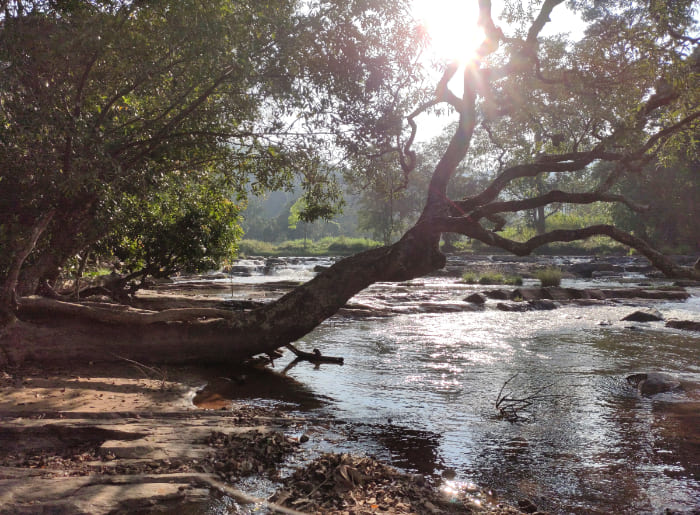 Fun Things To Do In Coorg