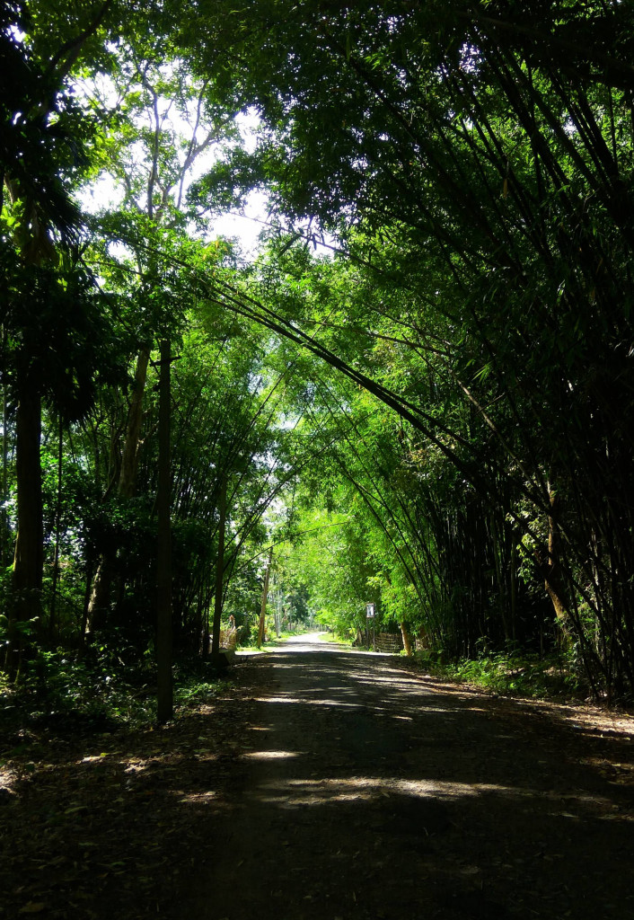 Jorhat Travel Guide