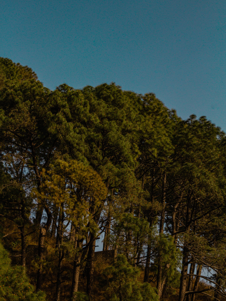 The beautiful Himalayan landscape from Chandigarh