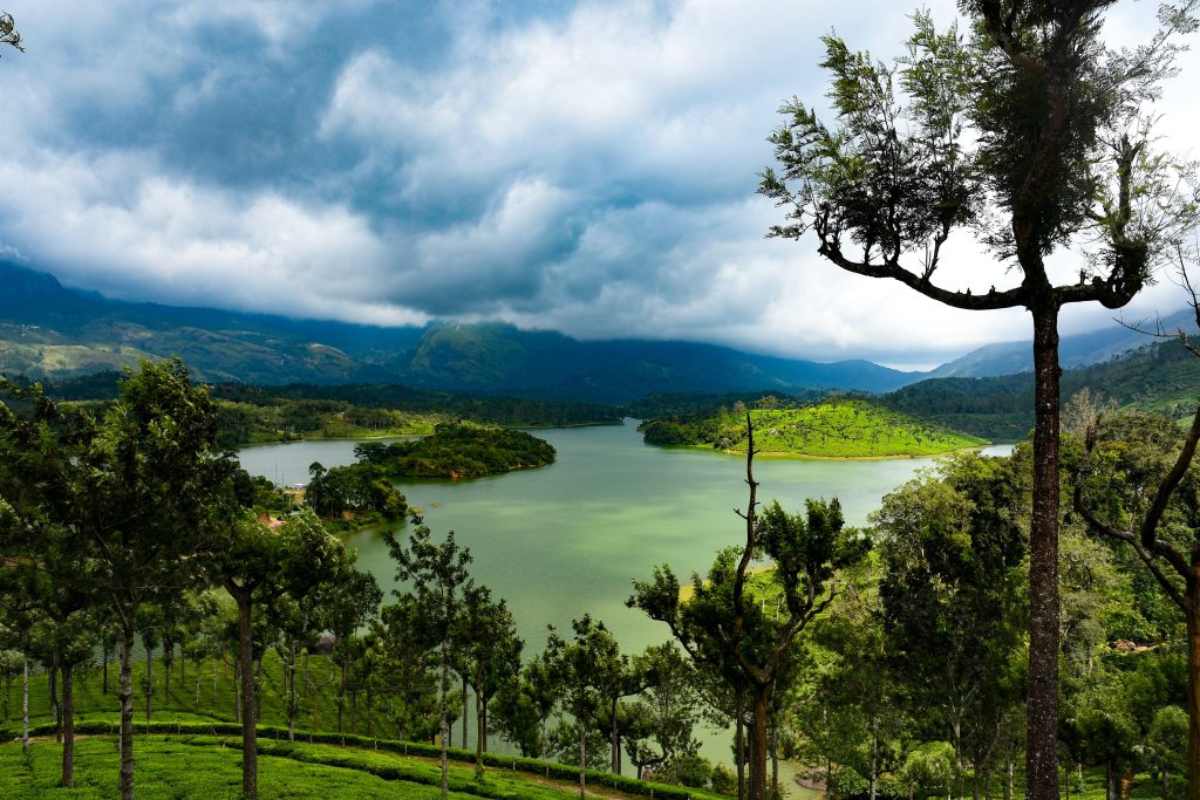 Things To Do In Kerala During Monsoon