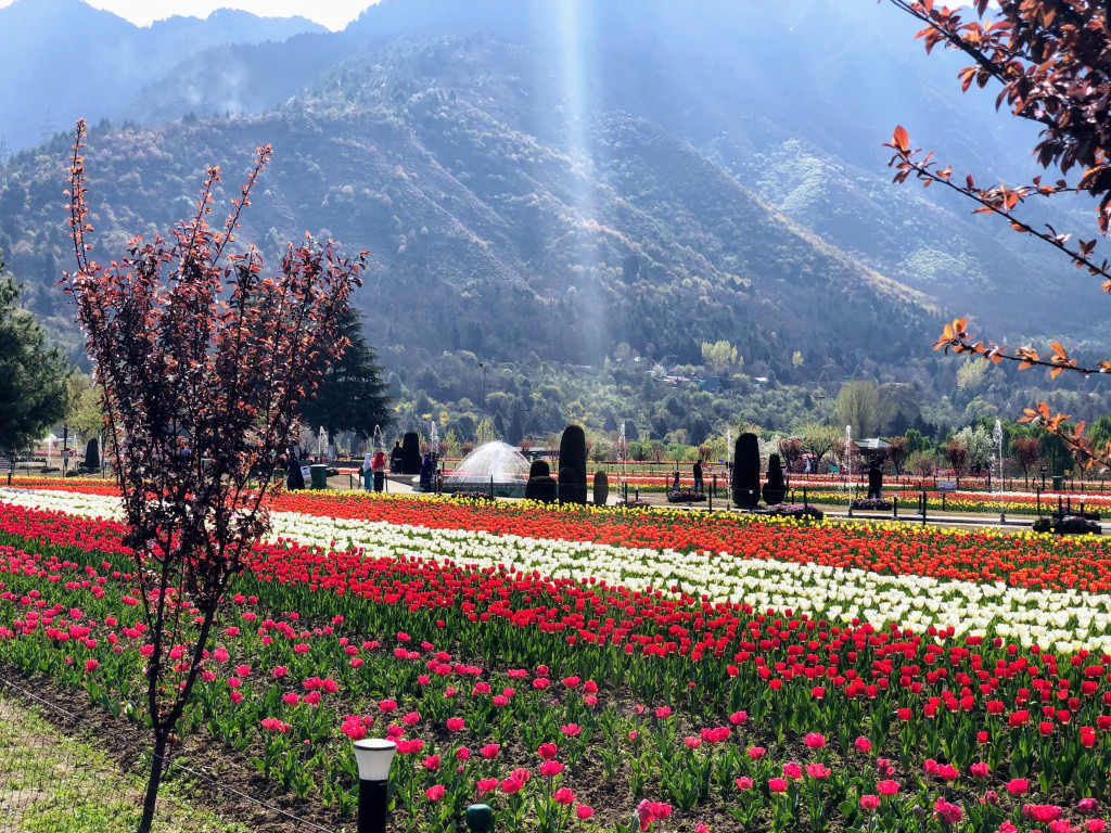 Srinagar Travel Guide