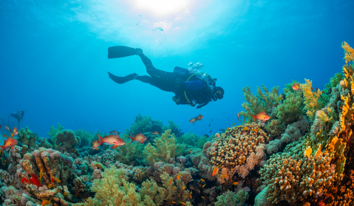 Things To Do In Port Blair