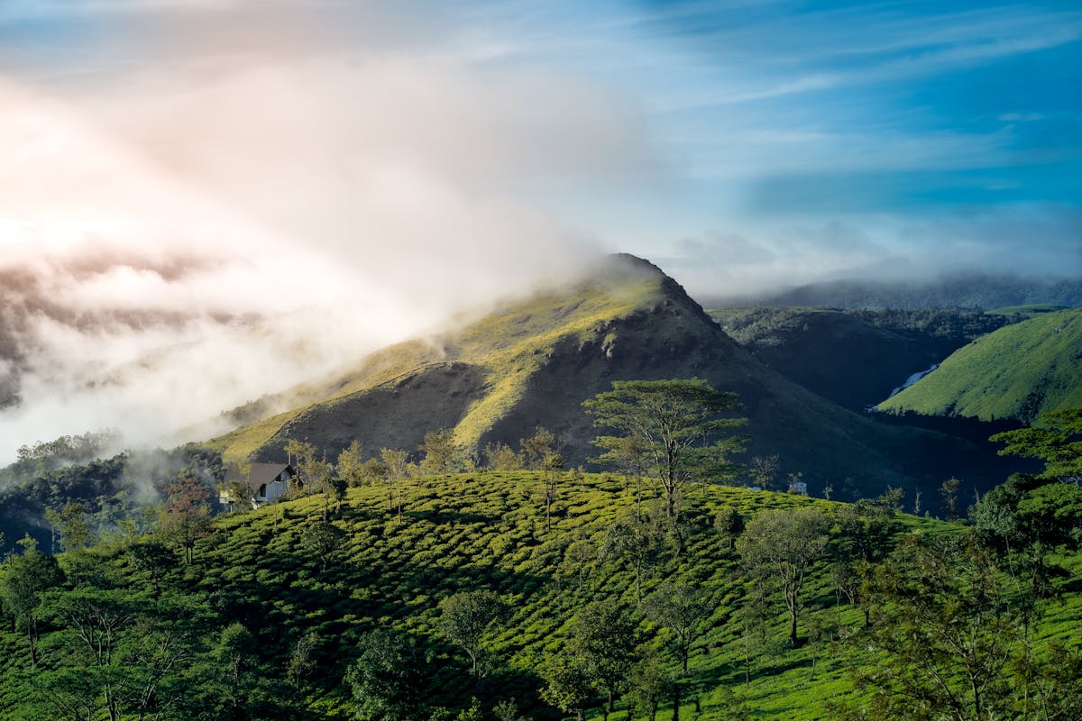 places to visit in Vagamon