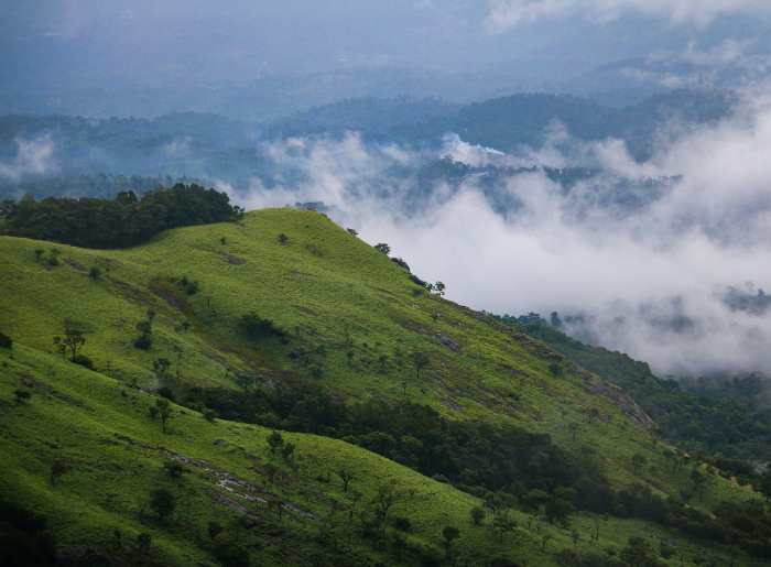 Wayanad Kerala