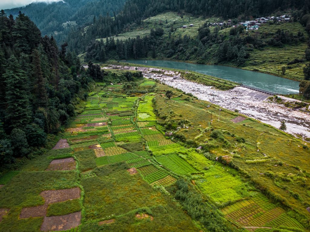 The beautiful green pastures of McLeodganj