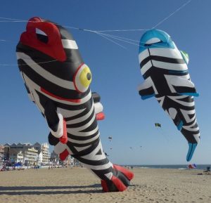 Photo Credits: Pinterest.com/gombergkites.com