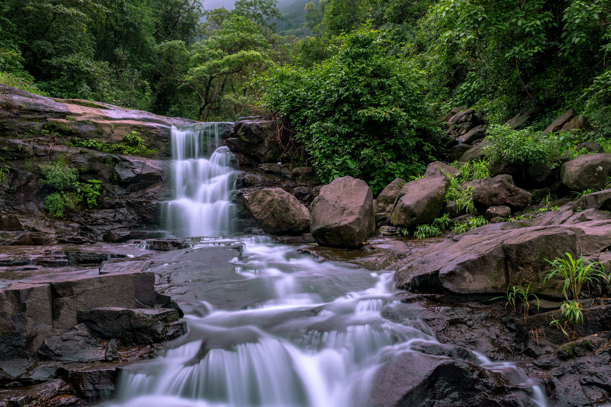 Photo Credits: Unsplash