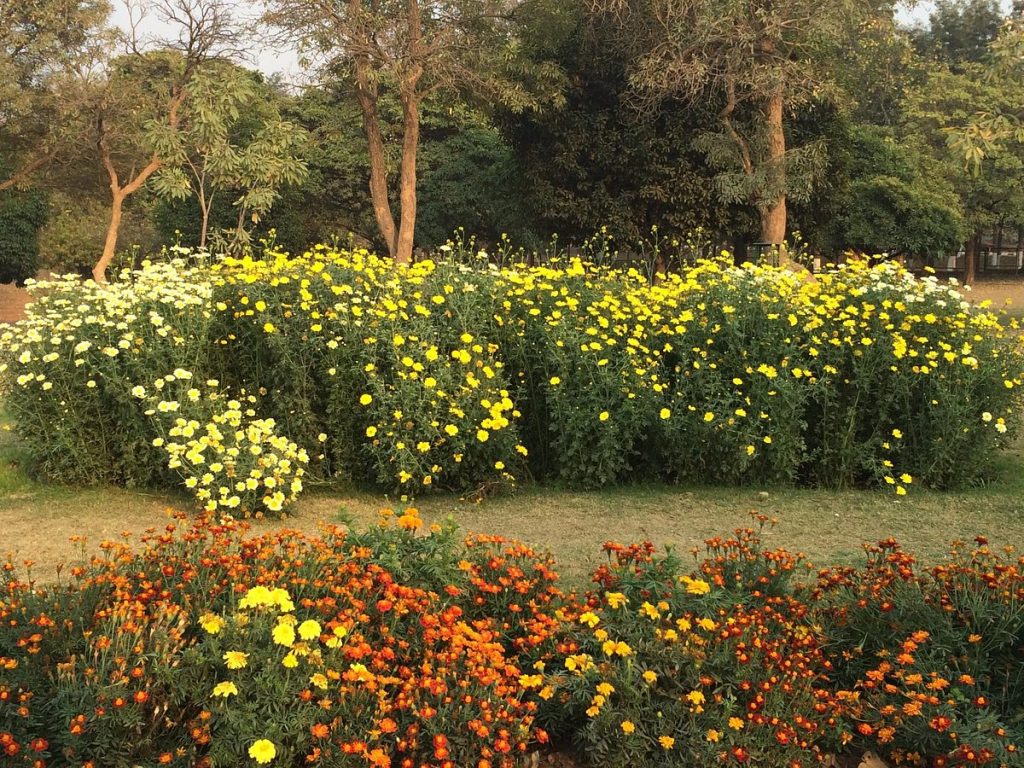 Image Credits: TripAdvisor