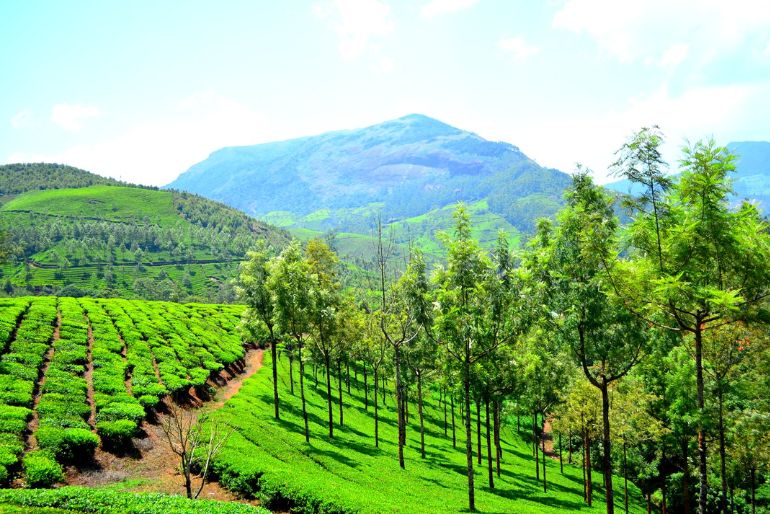 homestays in munnar