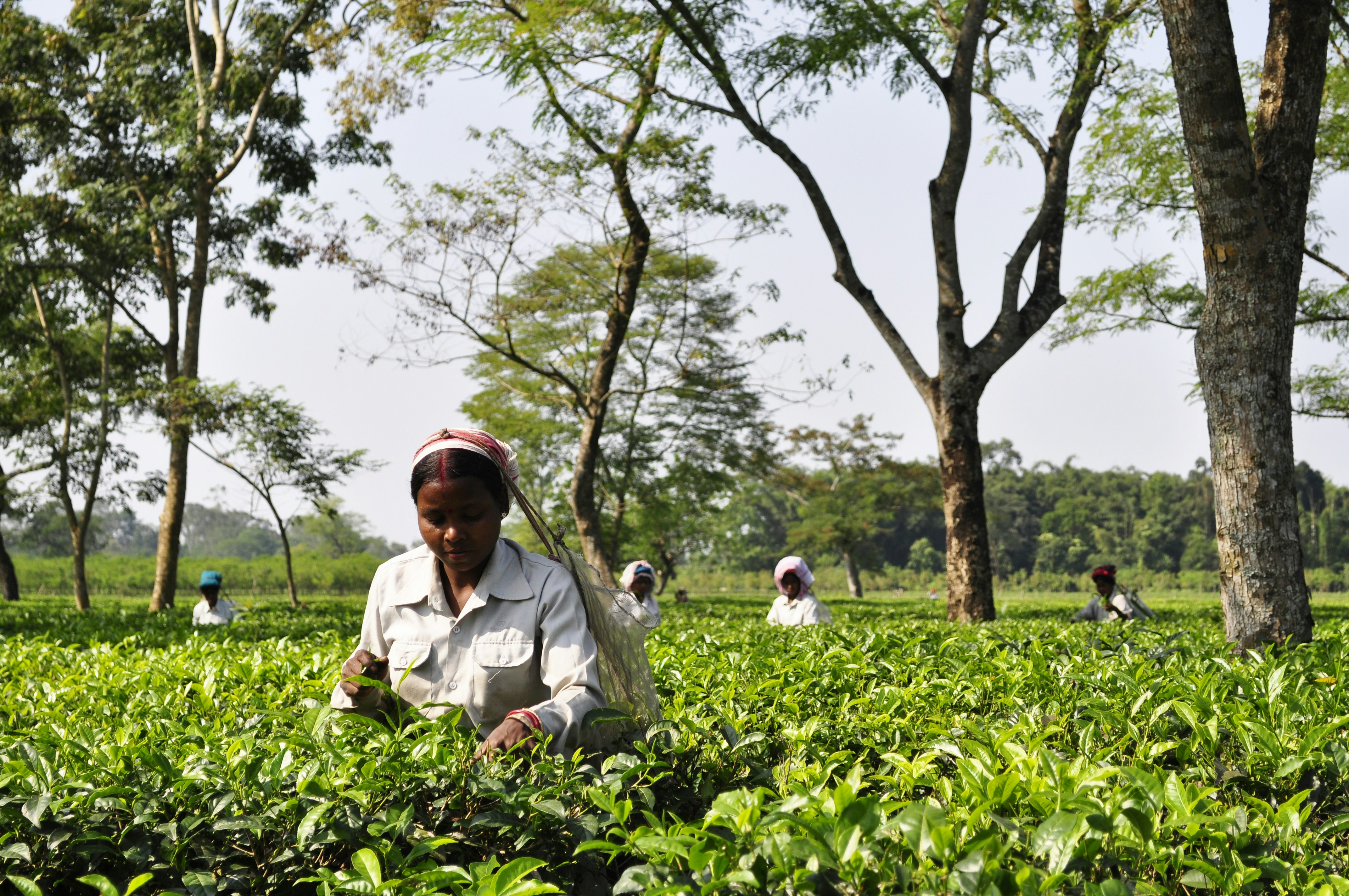 Best Places To Experience Rural Tourism In India