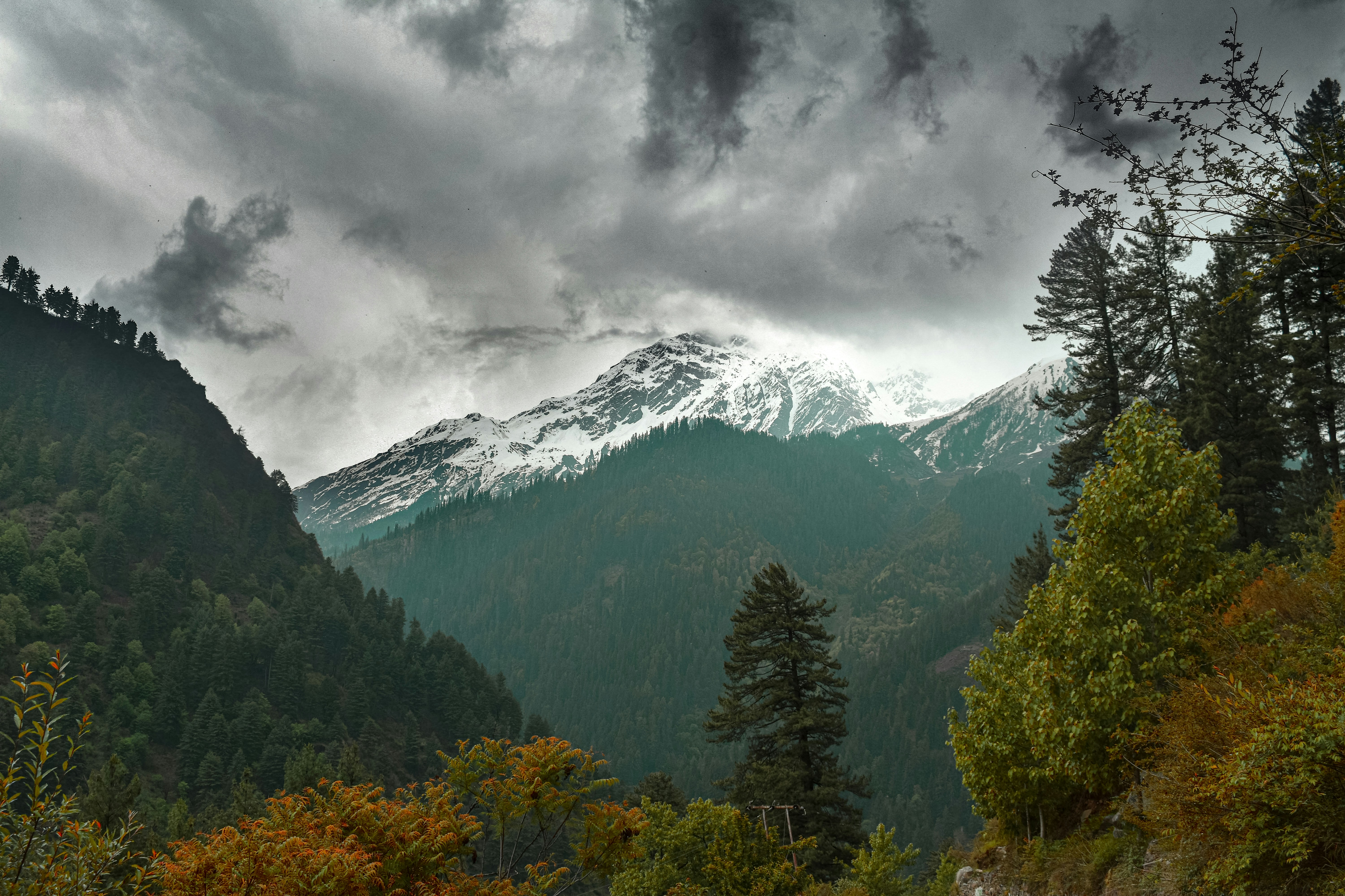 Kasol Travel Guide