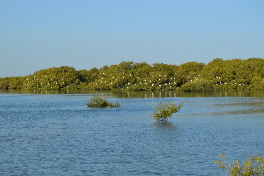 Photo Credits: Tripadvisor