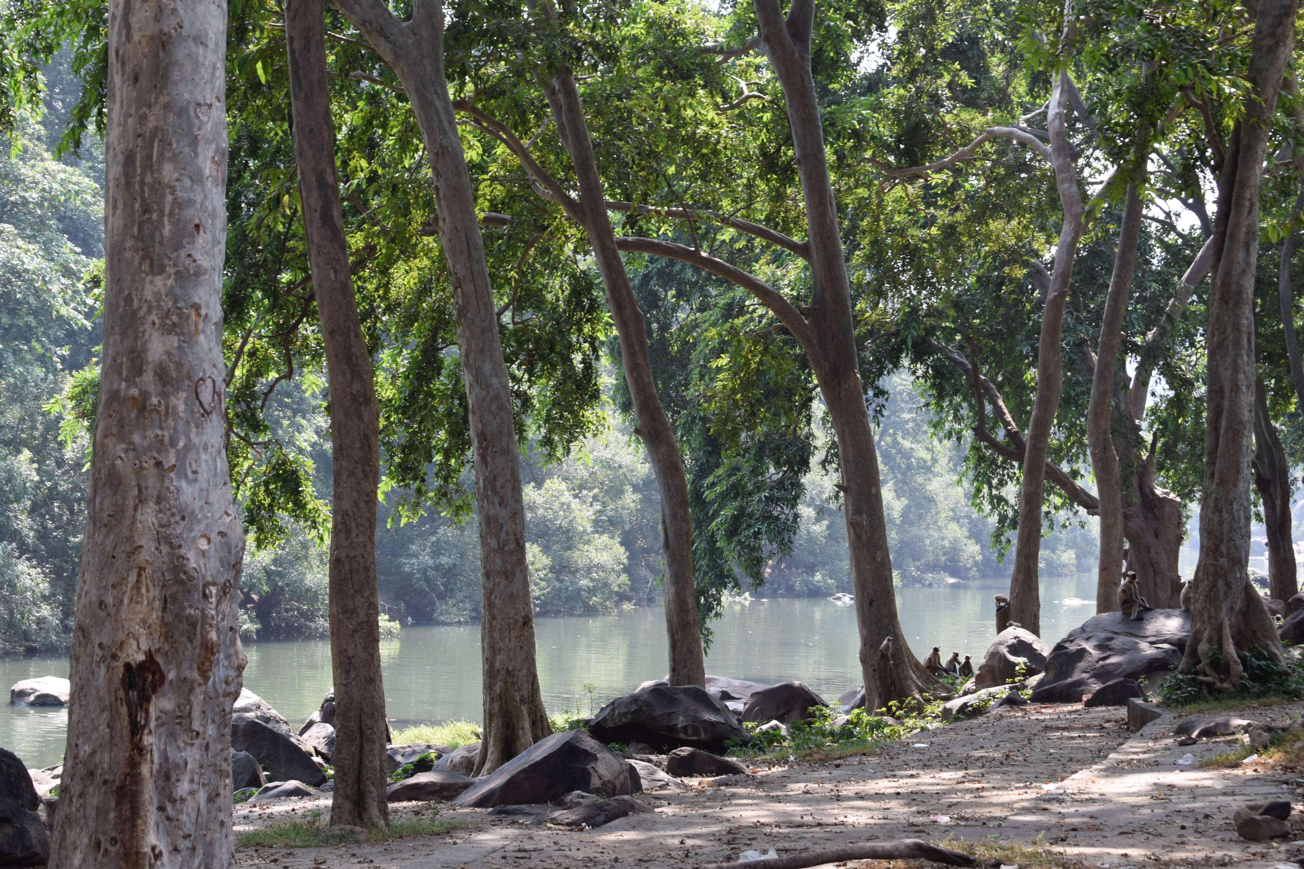 Your guide to traveling to Pachmarhi for a relaxing getaway