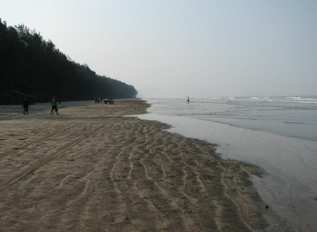 Photo Credits: Tripadvisor