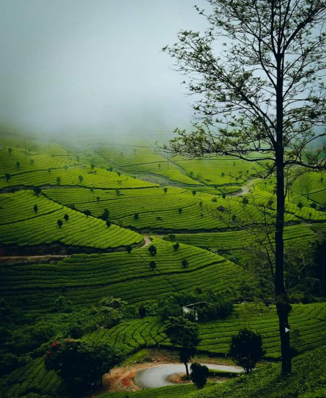 Photo Credits: Pinterest