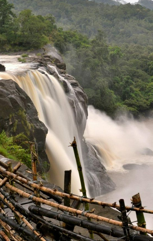 Photo Credits: Pinterest