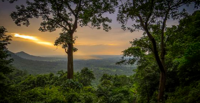 Photo Credits: Pinterest