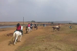 Panchgani Under INR 8000