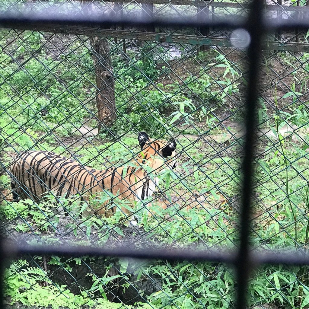 Photo Credits: Tripadvisor