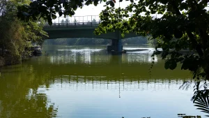 Thiruvallam Backwaters