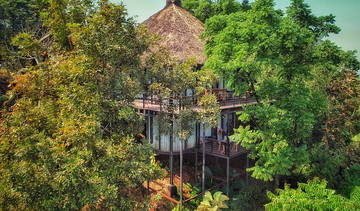 Forest Hills tree house resort in Tala
