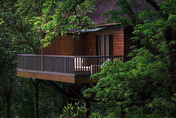 Tree house resorts near Mumbai