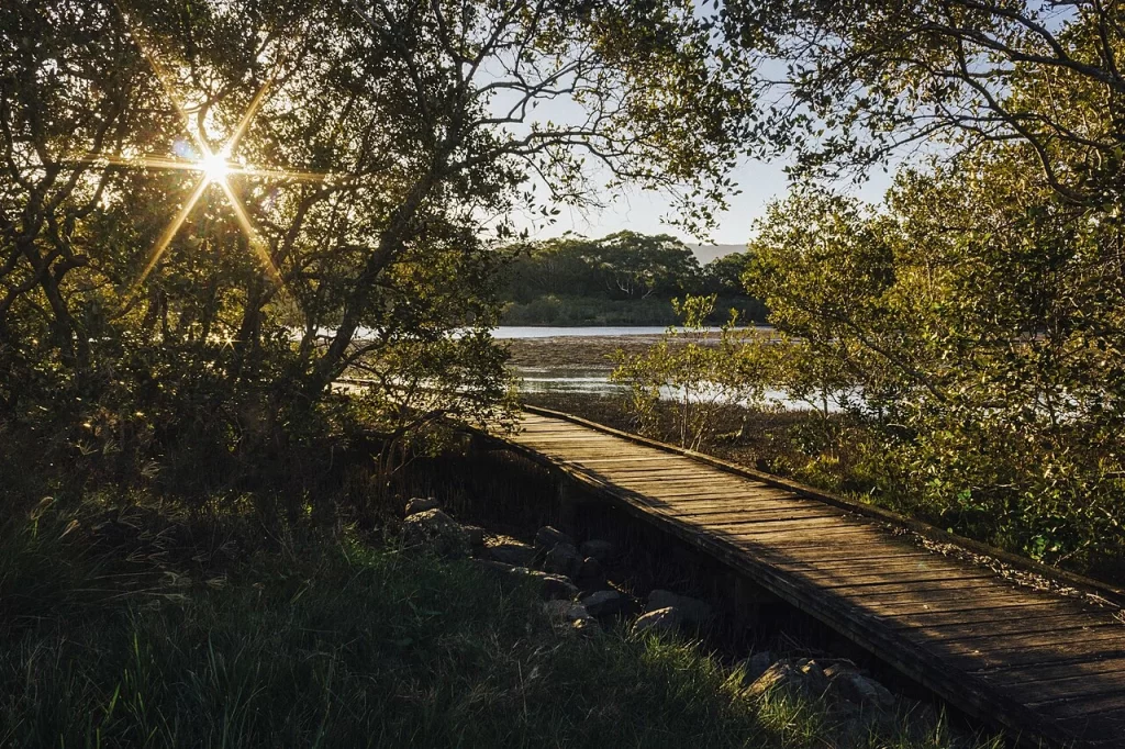 Navi Mumbai’s First Mangrove Parks