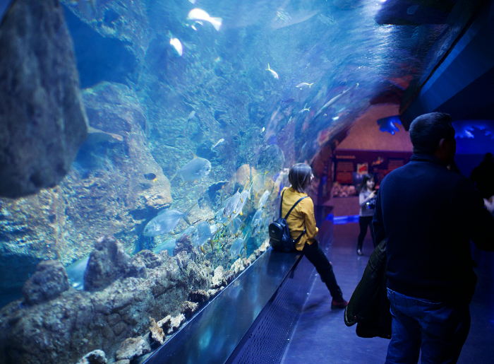 Underwater tunnel in Bangalore
