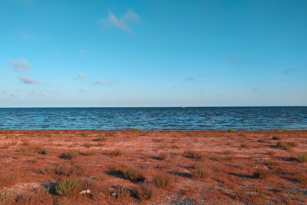 Azerbaijan Flights From India