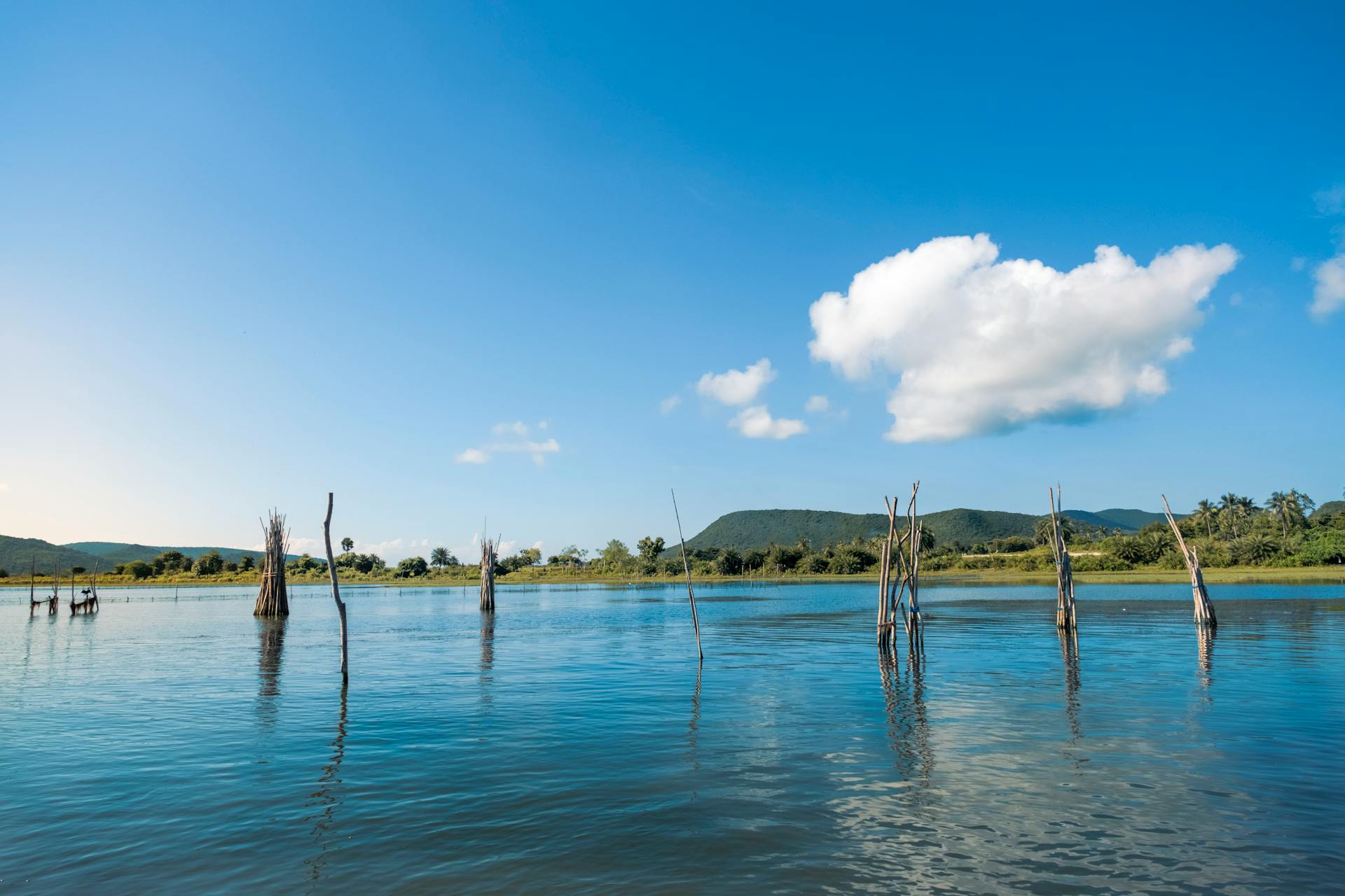 summer vacation in odisha