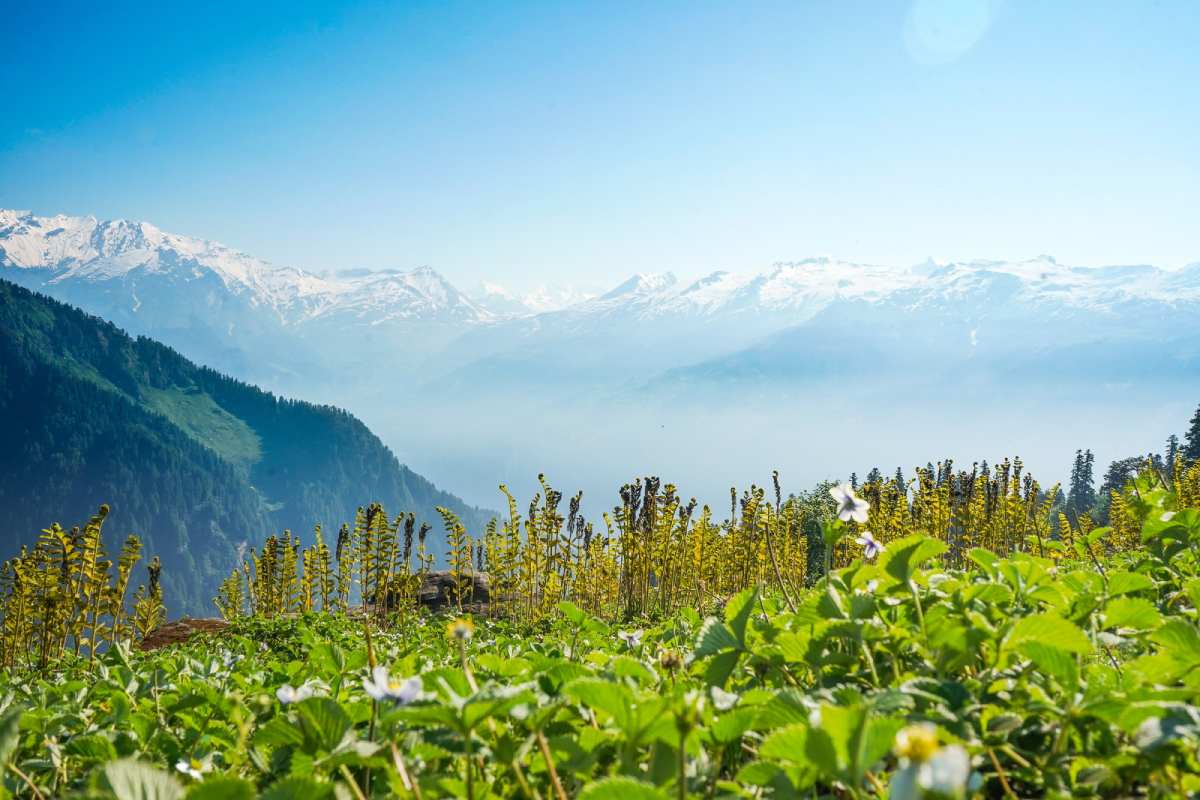 Chakrata 2025