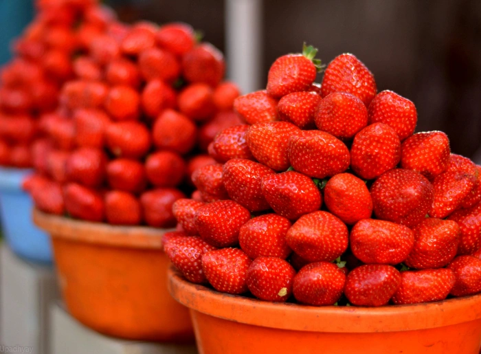 Mahabaleshwar strawberries