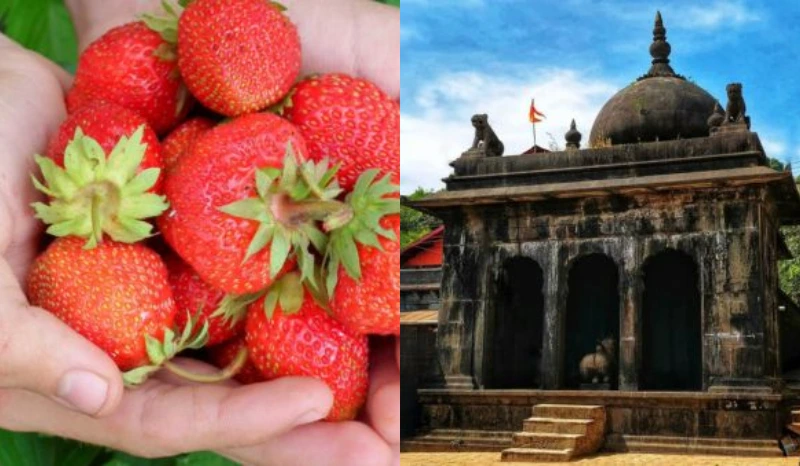 Maharashtra Mahaparyatan Utsav 2025