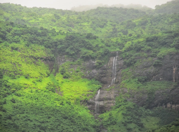 Pandavkada waterfall in the monsoon