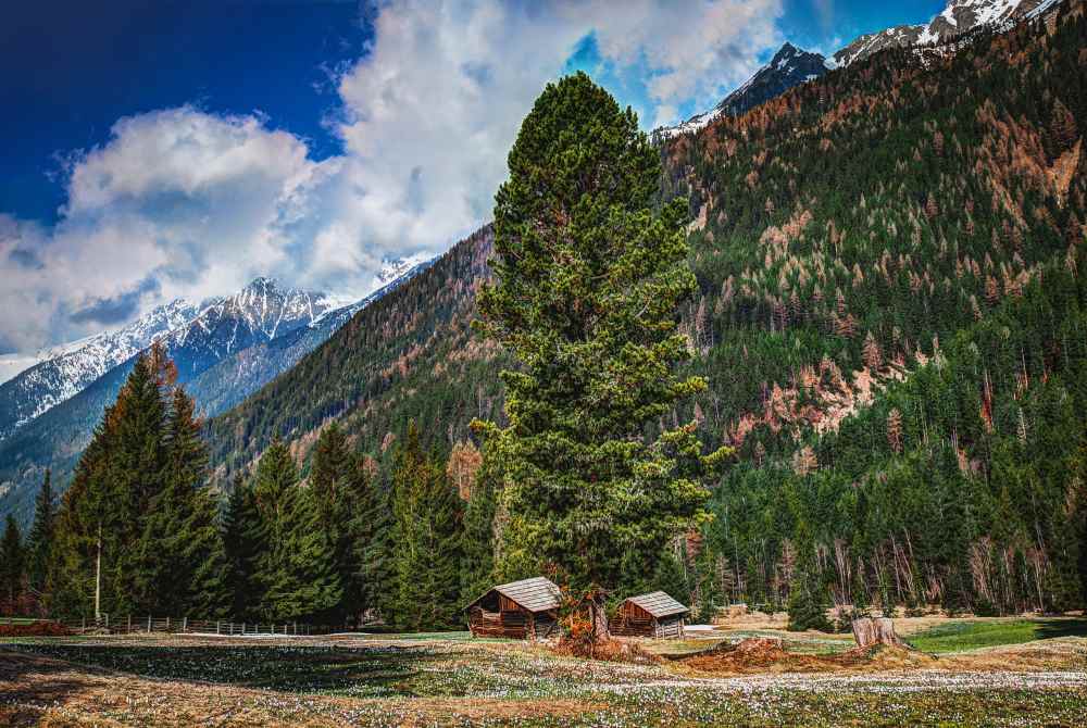 Places to Visit in Tirthan Valley