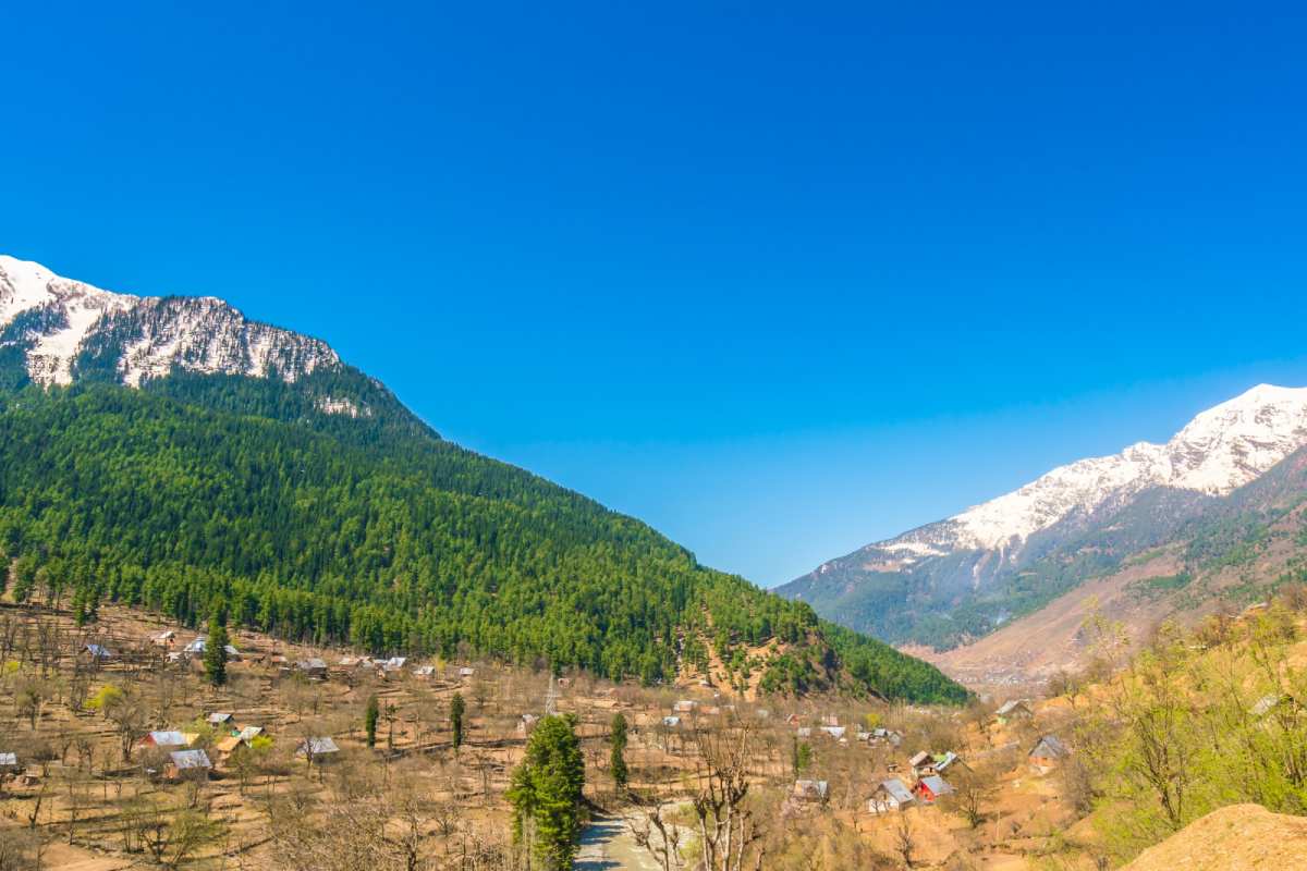 kalga himachal