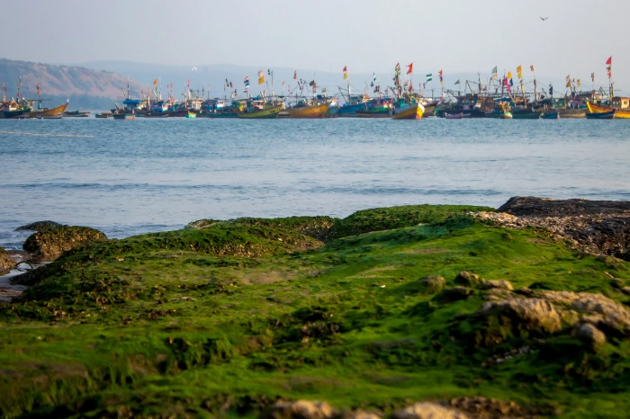 Must-Visit Konkan Getaways