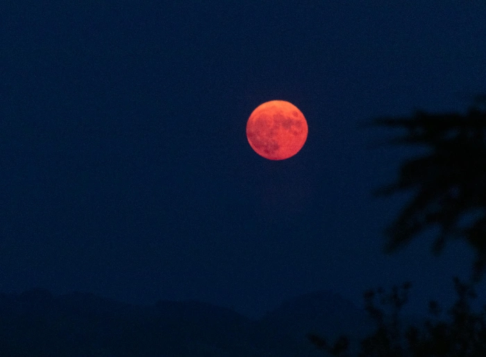 Picture of Strawberry Moon