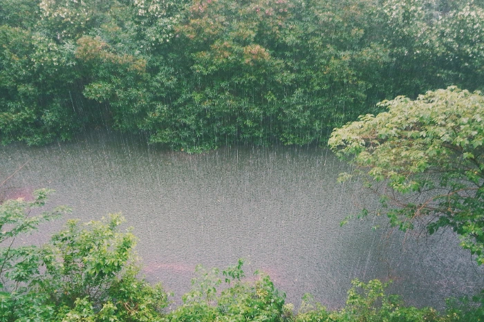 Red Alerts in Northeast India Amid Torrential Rains