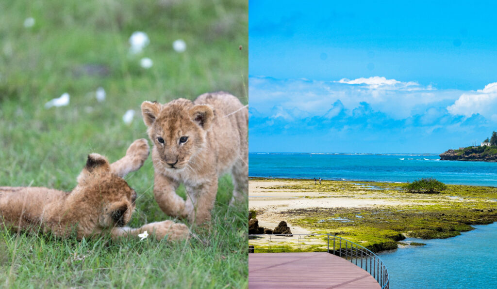 Kenya Trip Cost From India_ We Have A Budget Breakdown For You!