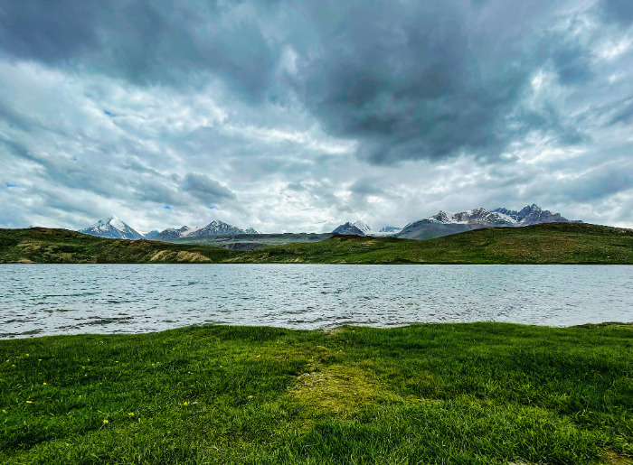 Lush greenery around Chandratal lake