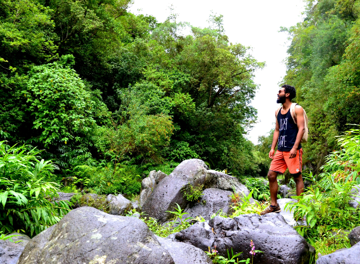 Trekking in the jungles