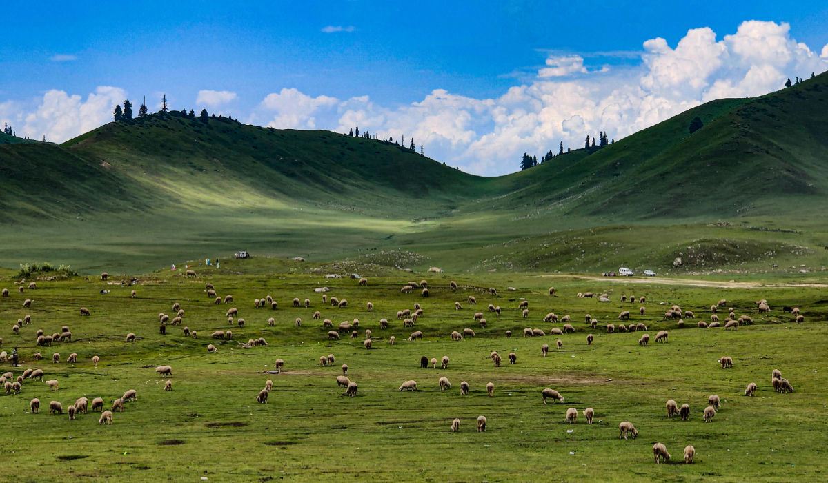 Offbeat Travel Experiences in India