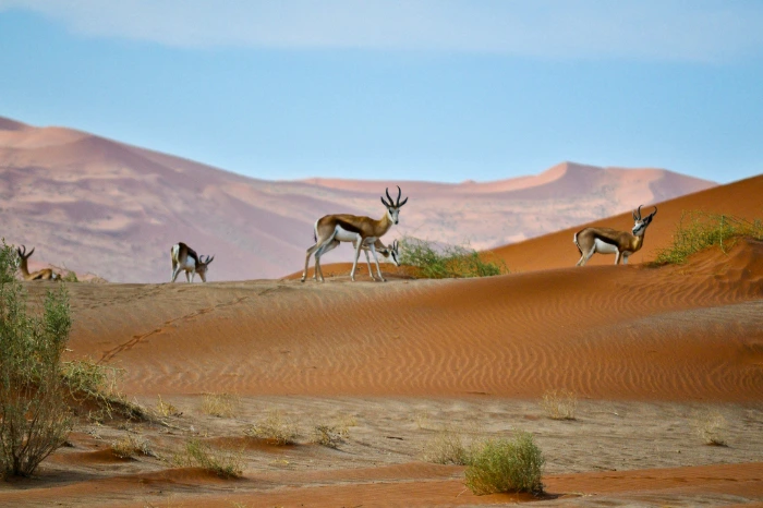 Where to Travel in August
